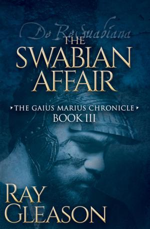 Cover of the book The Swabian Affair by Bettina Gordon-Wayne