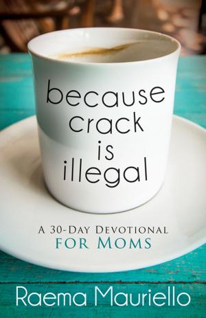 Cover of the book Because Crack is Illegal by Gayle Johnston