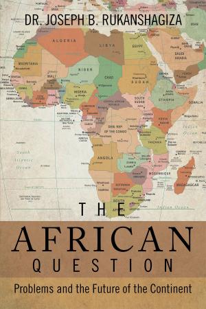 Book cover of The African Question