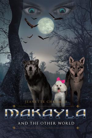 Cover of the book Makayla and the Other World by Melvina Hawkins-Patterson