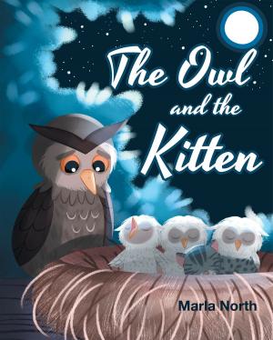 Cover of the book The Owl and the Kitten by S.J. Whitcomb