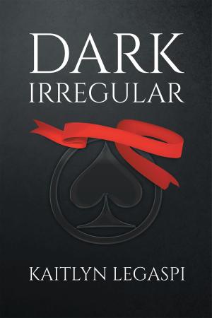 Cover of the book Dark Irregular by B.L. Lantz