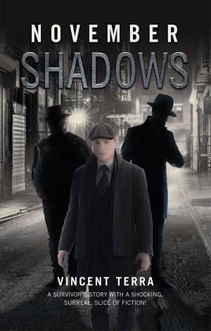 Cover of the book November Shadows by Jerome L. Whitehead