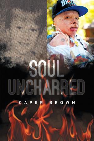 Cover of the book Soul Uncharred by Sean Williams