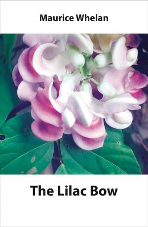 Cover of The Lilac Bow