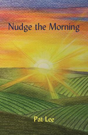 Book cover of Nudge the Morning