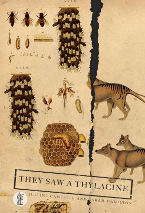 Cover of They Saw a Thylacine