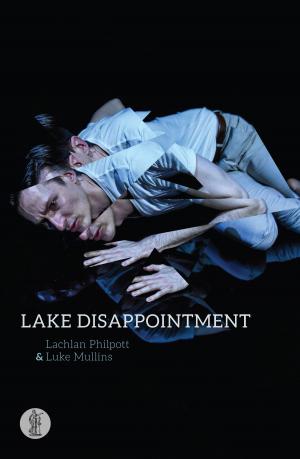 Book cover of Lake Disappointment
