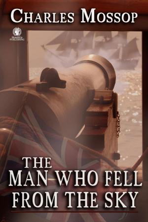 Cover of The Man Who Fell from the Sky