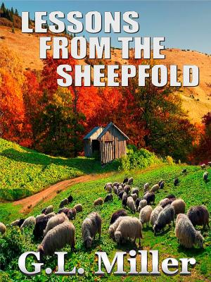 Cover of the book Lessons from the Sheepfold by John B. Rosenman