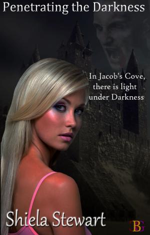 Cover of the book Penetrating the Darkness by Rebecca Goings