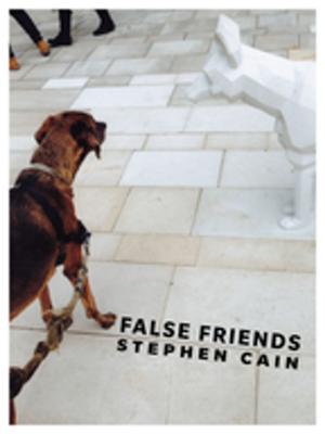 Cover of the book False Friends by Catherine Lalonde