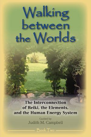 Book cover of Walking Between the Worlds ─ Book II