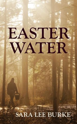 Cover of the book Easter Water by Christine Mackinnon
