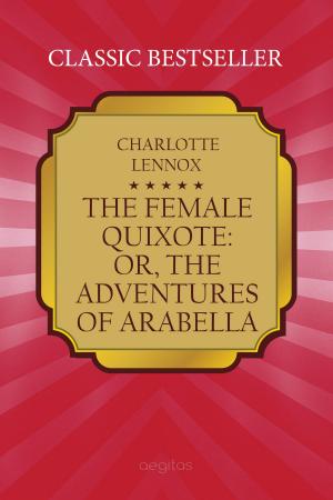 Cover of the book The Female Quixote: or, the Adventures of Arabella by Antero de Quental