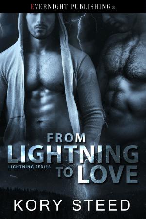 Cover of the book From Lightning to Love by Marie Medina