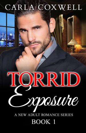 Book cover of Torrid Exposure - Book 1