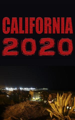 Cover of the book California 2020 by Salvatore Russo