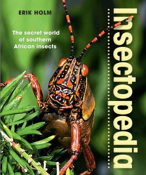Cover of the book Insectopedia – The secret world of southern African insects by Catherine Lanz
