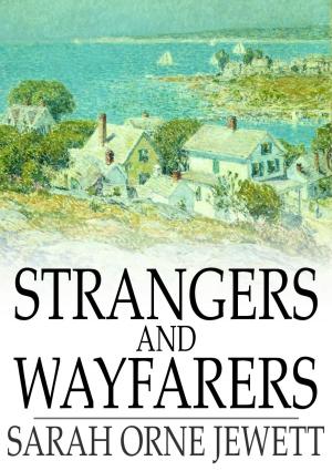 Book cover of Strangers and Wayfarers