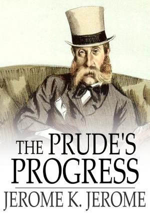 Cover of the book The Prude's Progress by J. Sheridan Le Fanu