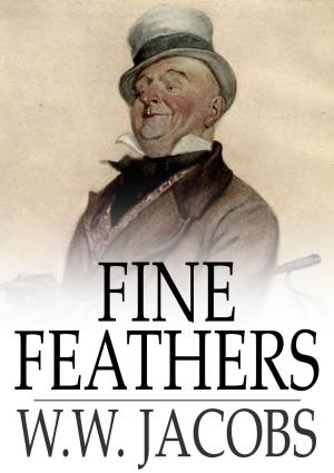 Cover of the book Fine Feathers by Russell H. Conwell