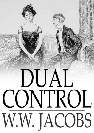 Cover of the book Dual Control by Frank Pribus