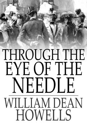 Book cover of Through the Eye of the Needle