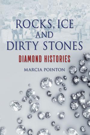 bigCover of the book Rocks, Ice and Dirty Stones by 
