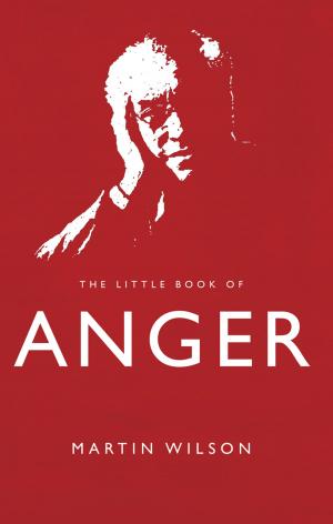 Book cover of The Little Book of Anger