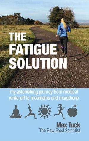 bigCover of the book The Fatigue Solution by 
