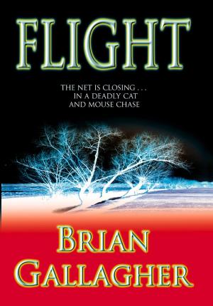Cover of the book Flight by Juliet Bressan