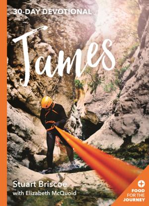 Cover of the book James by Irene McGarvie