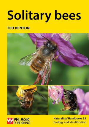Cover of the book Solitary bees by Trevor J. C. Beebee