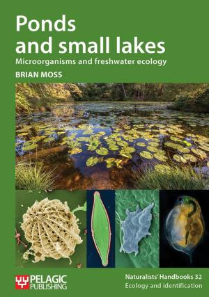 Cover of the book Ponds and small lakes by Dave Hubble