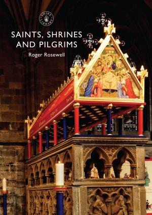 Book cover of Saints, Shrines and Pilgrims