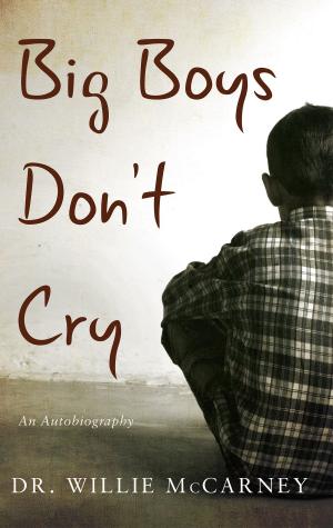 Cover of the book Big Boys Don't Cry by David Stedman