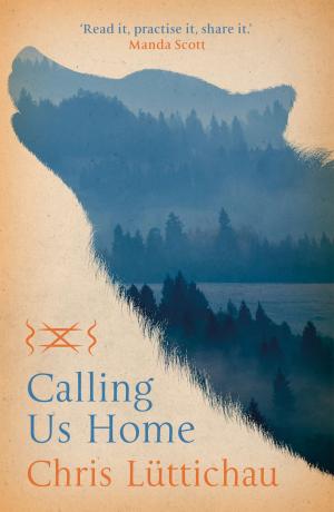 Cover of the book Calling Us Home by Stephen E. Flowers, Ph.D.