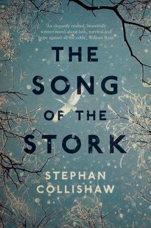 Cover of the book The Song of the Stork by Heather Peace