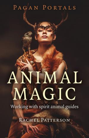 Book cover of Pagan Portals - Animal Magic