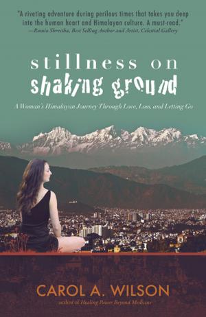 Cover of the book Stillness on Shaking Ground by David Stubbs