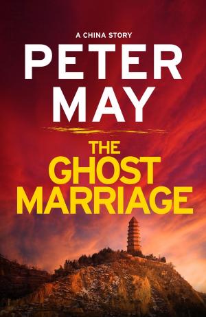 bigCover of the book The Ghost Marriage by 