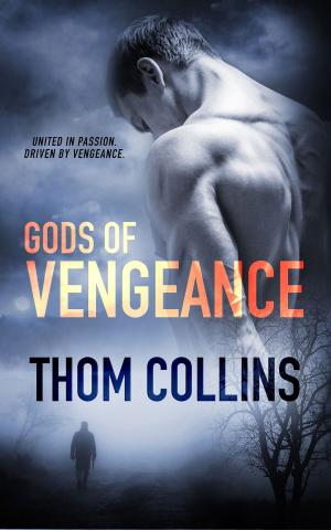 Cover of the book Gods of Vengeance by Allie Standifer