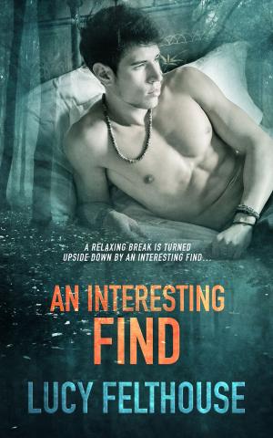 Cover of the book An Interesting Find by Lisabet Sarai