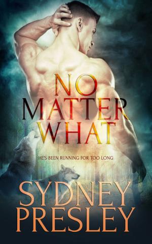 Cover of the book No Matter What by JC Holly