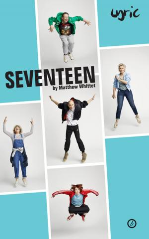 Cover of the book Seventeen by Angelina Weld Grimké