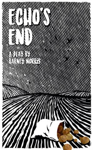 Cover of the book Echo's End by Kieran Lynn
