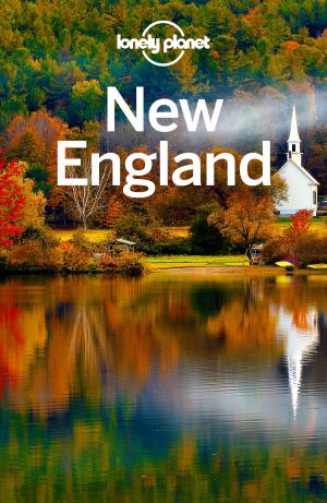 Book cover of Lonely Planet New England