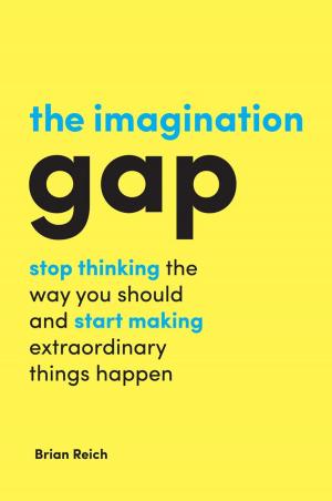 bigCover of the book The Imagination Gap by 