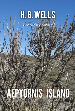 Book cover of Aepyornis Island